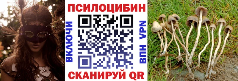 Галлюциногенные грибы MAGIC MUSHROOMS  Нахабино 